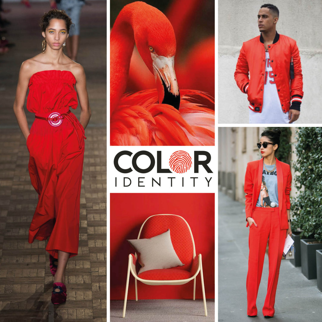 Kleur  van de maand Flame