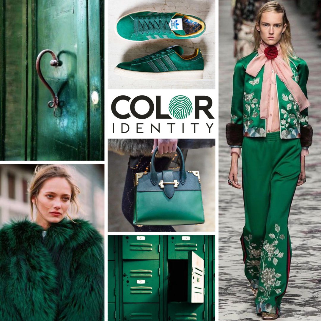 Kleur van de maand Lush Meadow