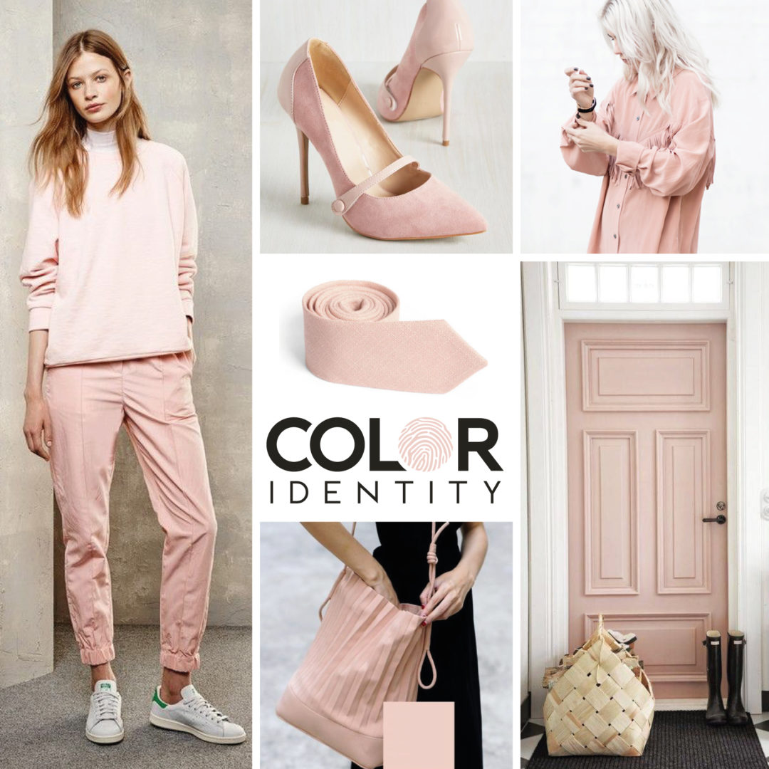 Kleur van de maand Pale Dogwood